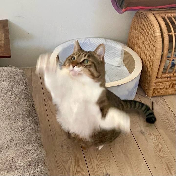 7119b43d 1eb2 4ebf 8f96 f745c21e7ef9 1763295438800