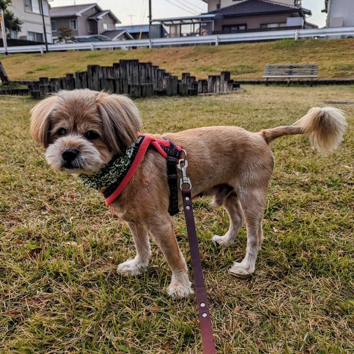 7119d5ae e9c1 4a64 9538 564efb9b25d7 1700433809867