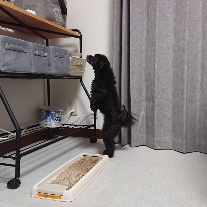 7119edb3 6c8e 40d2 86b5 36843154418c 1512557512593