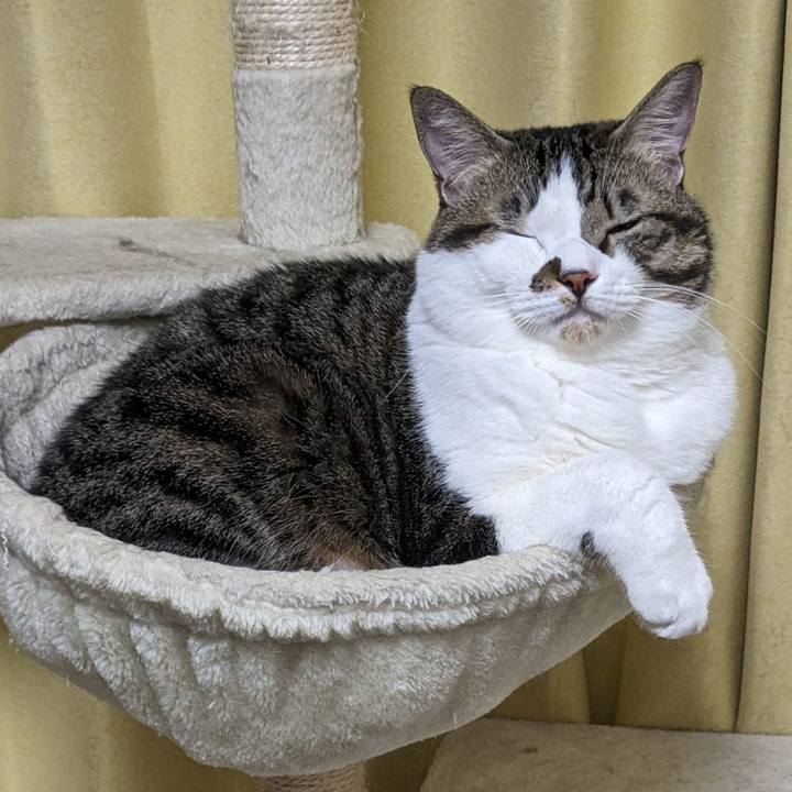 7119eed6 da4b 4933 bb1c c4e26ab3a479 1698570333638