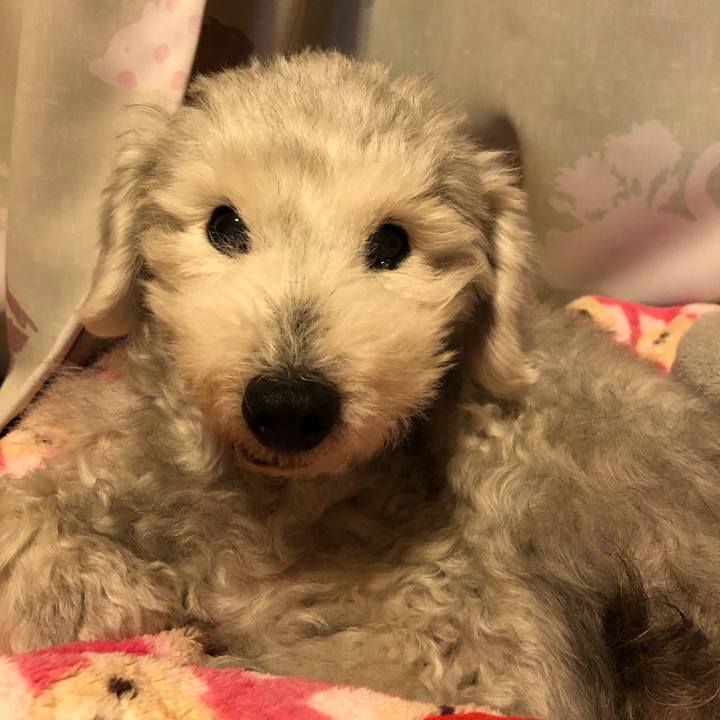 7119f61a 27ad 4299 a108 dde421433893 1642676702232