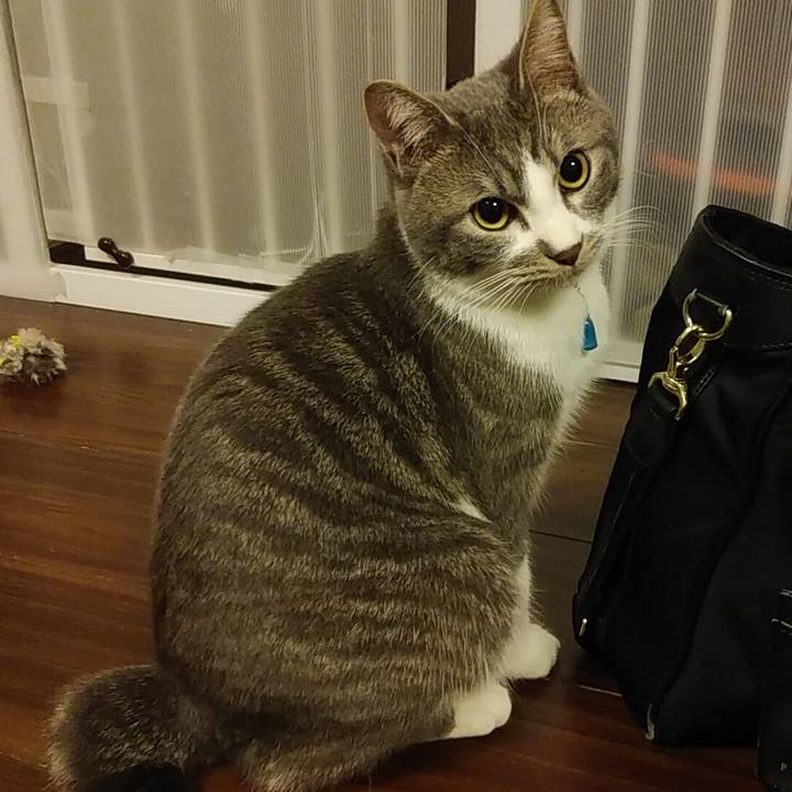 711a515a 2ad1 4ff5 aef9 98c7ace88ee8 1580734988329