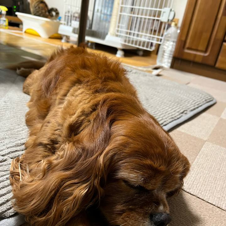 711a7b8c f1e7 4ae8 bf54 284768c47fb6 1719712862347