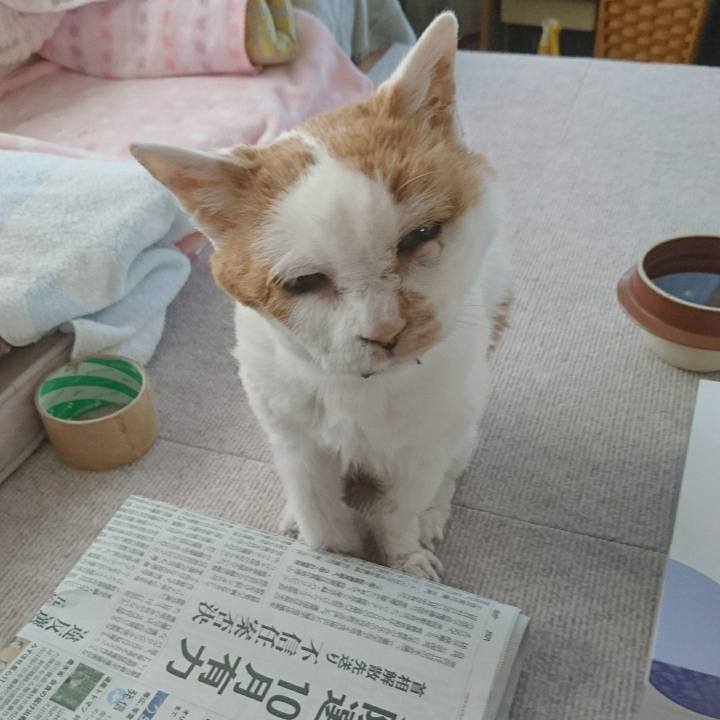 711a92bc 3900 4172 8a79 b82a9f2bc965 1628331261901