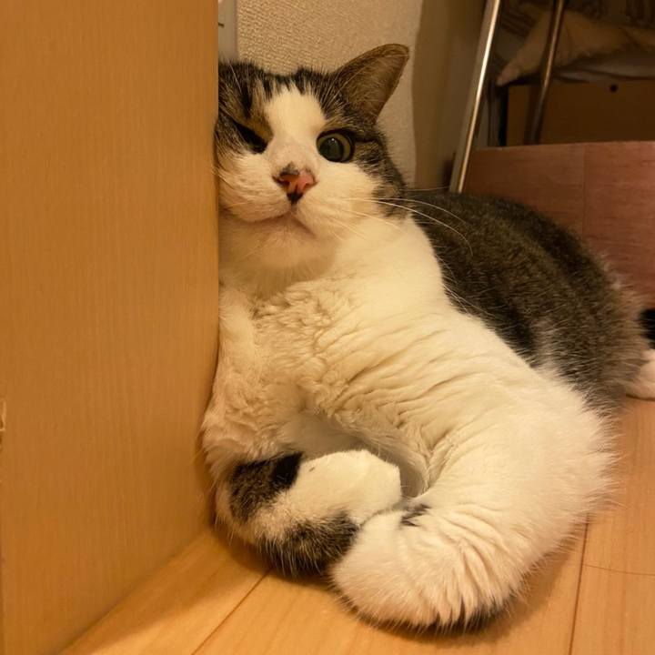 711acb1b 4313 4b4f 8787 d06a426a6059 1596083826088