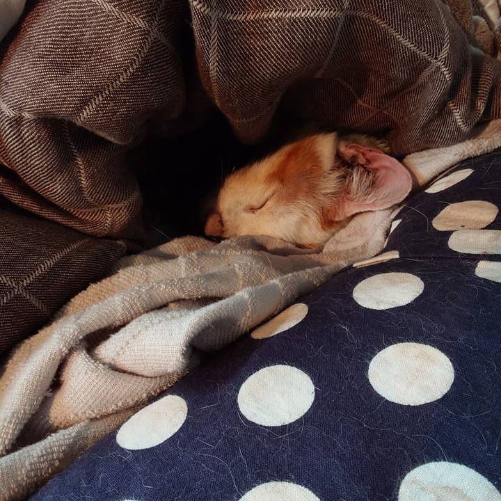 711acc67 606e 4148 89c1 9b7bc7686914 1772428531679