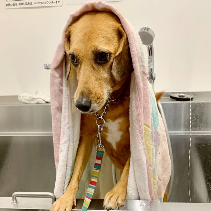 711ad3cf b533 4e2c 98de b6019129ad04 1572860527012