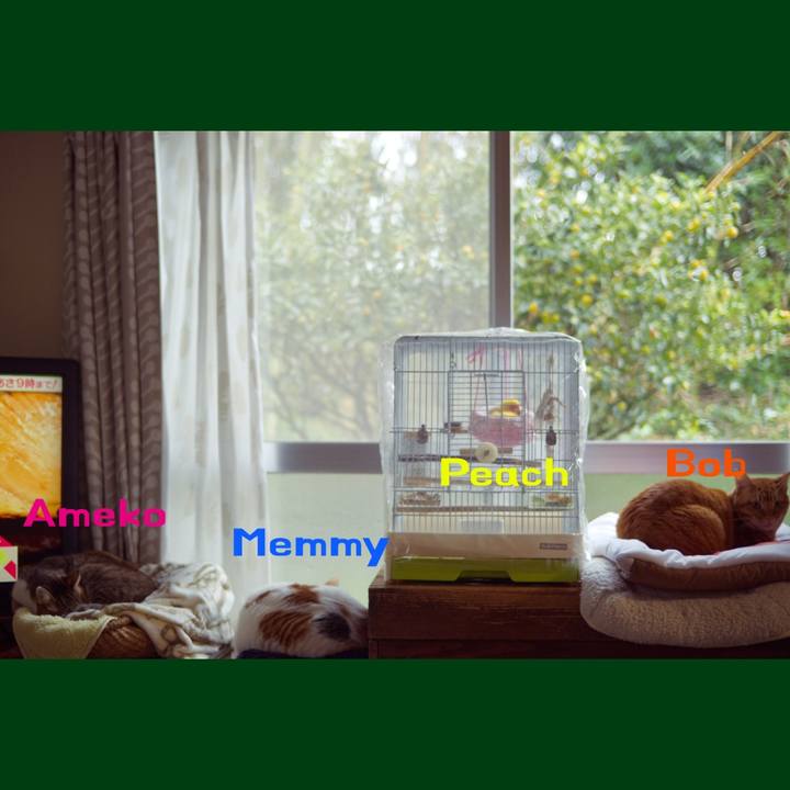 711b2045 7cc3 4f9d bb95 a26558723a64 1735053228941