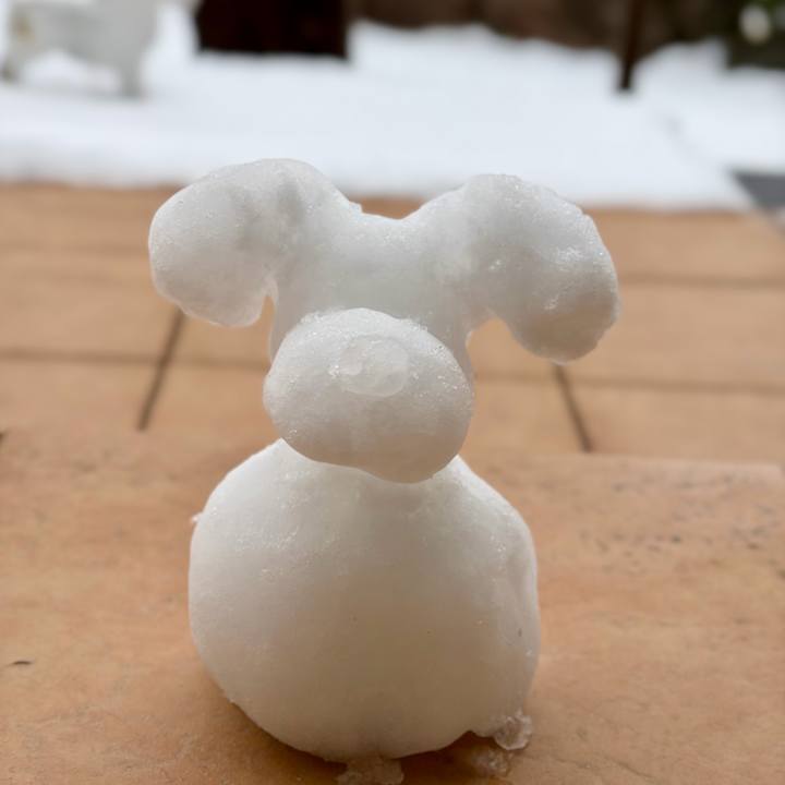 711b24ca 0c3b 4d7f 83fa 8a0b4acd67cd 1770528362886