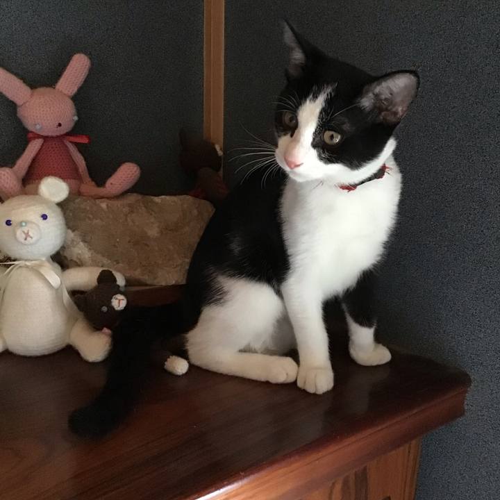 711b4d2f 001b 45de bb26 28ff27e1d1ac 1630125574455