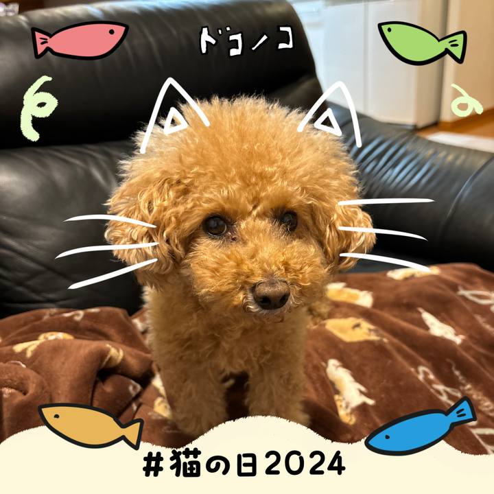 711b5718 9ee3 4add a6be 051e53d9473f 1708592157400