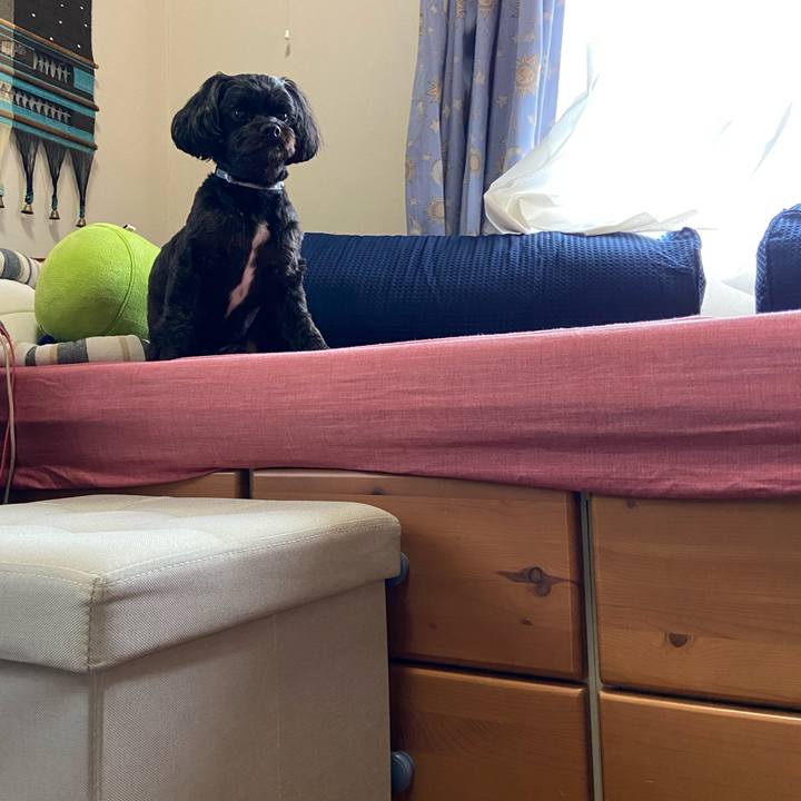 711bb32e aebd 41bc b02a 0a0f1acc2ca5 1633754238822