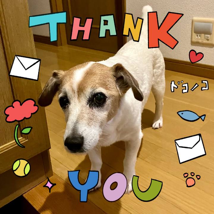 711bbd8a 8eb4 4cb8 9cf6 a0ef3259e281 1715090488247