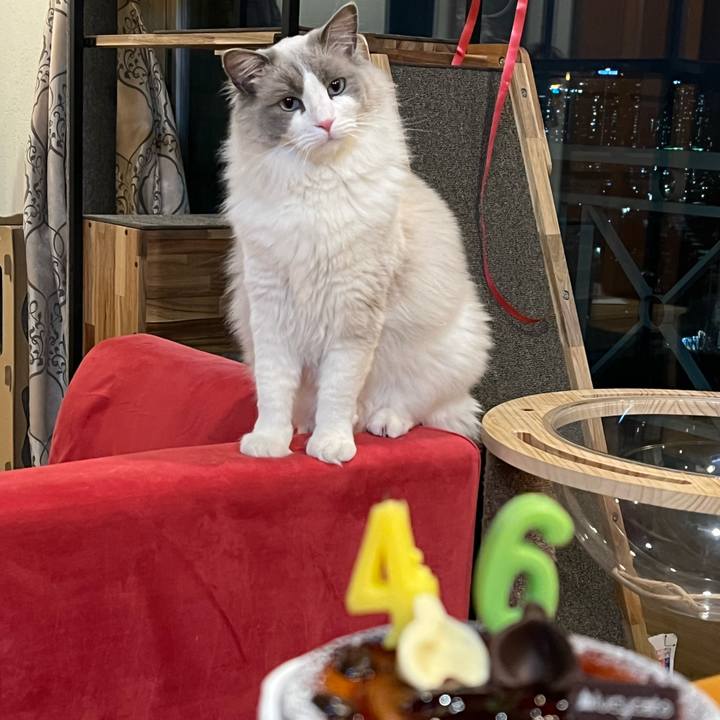 711c577a b668 4766 9cee 3241a2c7d120 1645433425440