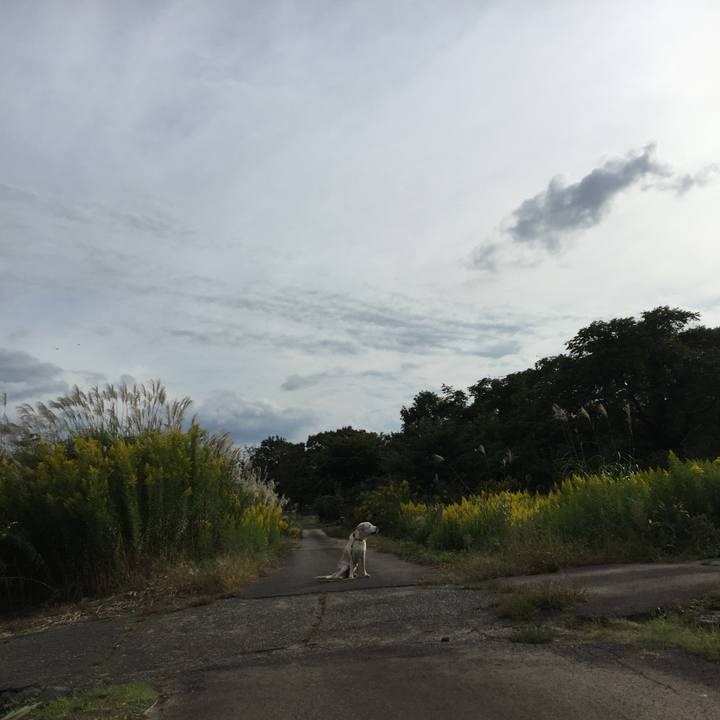 711c6241 943e 4df4 af9a c3f66a2b0361 1539672067460