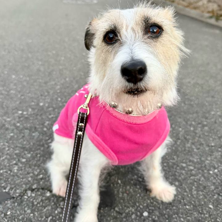 711c69f7 cce1 4376 b92d 6b10791699a5 1767838183536