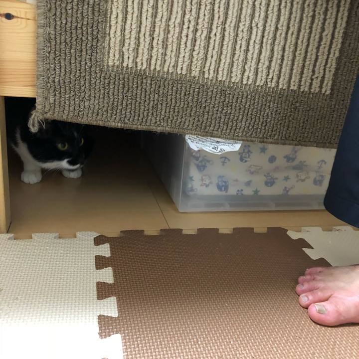 711c7f3e 00ee 4079 bcca 8042436f5b84 1538930354422