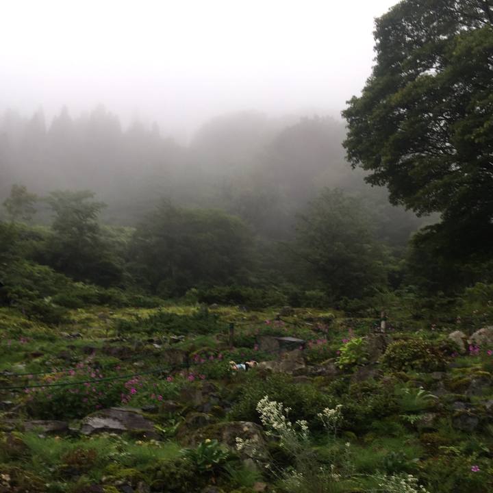 711c8a95 1680 4311 9056 90daf3d9c046 1535968874164