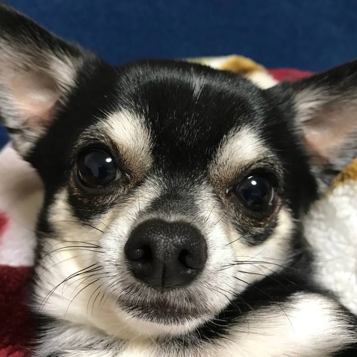 711c9116 23c8 40c8 8b6f 214a46a4dba5 1523621345829