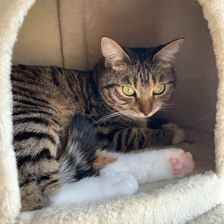 711cb6ba 0d7c 4135 9cb7 bb1758c048c0 1554540591421