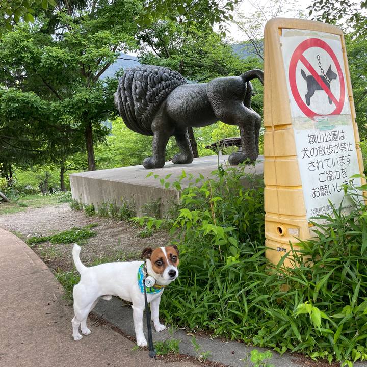 711cb73a 09ab 4db7 9e2a 9cd4637f82e8 1654162423578