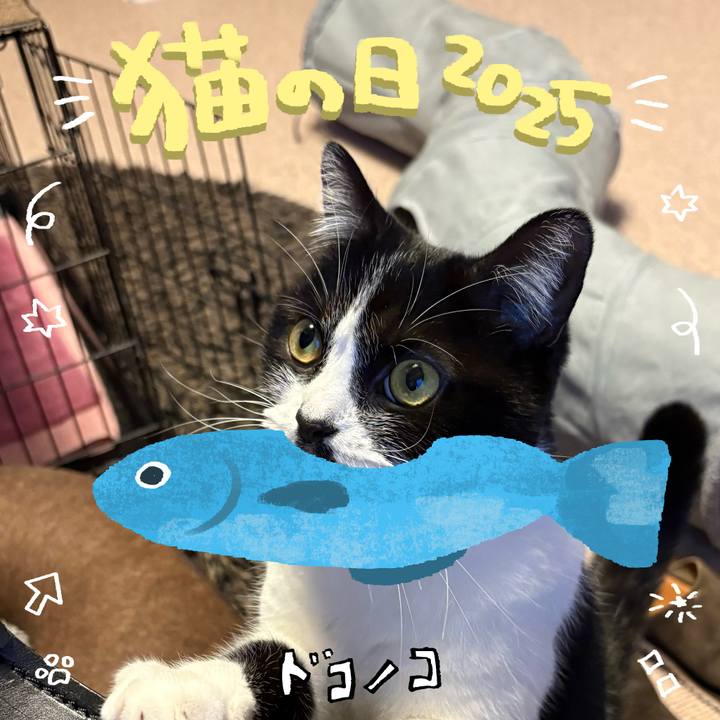711cc156 32dc 43f4 abd2 a706cd761f4c 1740193568675