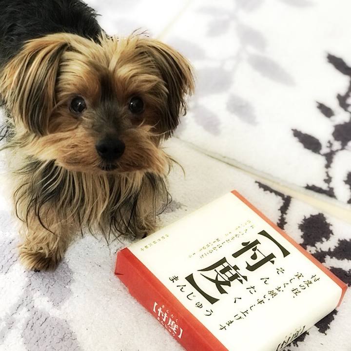 711cd15e ae55 4c83 8b75 fce7e1af1f4a 1521263147743