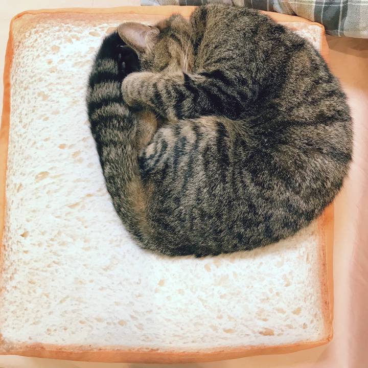 711d37d0 3968 4045 8116 07f3674b20c9 1522070131189