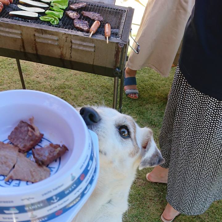 711d5103 33e2 47a9 b87e 4aea794fef22 1534549042278