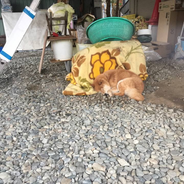 711d628d de90 4d75 a596 9b5230bc56df 1510556268439