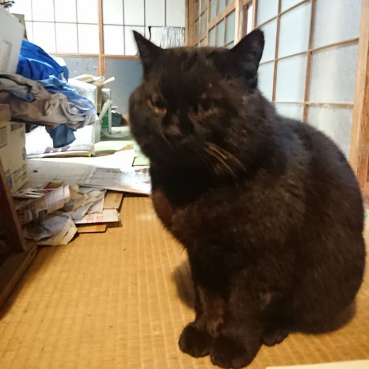 711d9ece cb4e 4f3a a928 91eafd99a299 1615283175528