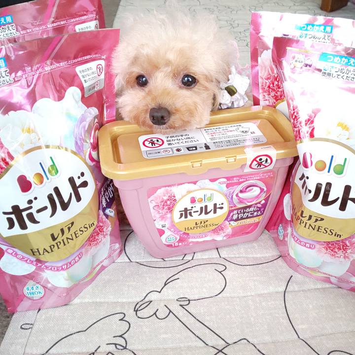 711db1b9 bff8 40a3 bd47 ba088e41a7a7 1570091203440