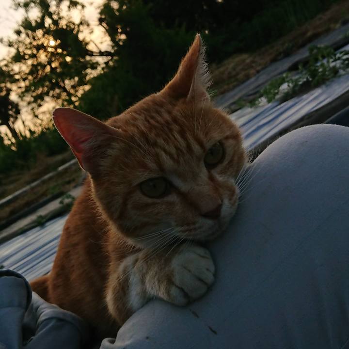 711db590 7011 47d5 8813 ff5cb7919b8e 1592213771169