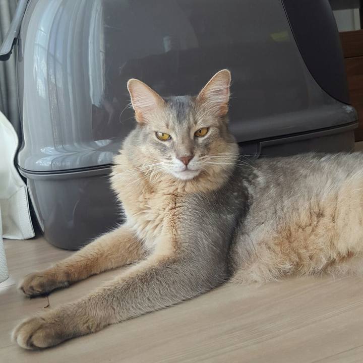 711de000 5ff0 4fbf 830a 96f6a6b1b1f2 1530105903280