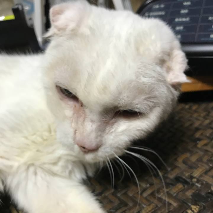 711de07c 4ca2 485a 929b 36f95a92015b 1533344740196