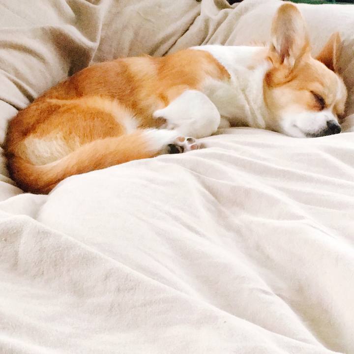 711e0961 54f2 4d60 bf0e 29684a158a8b 1574494947575