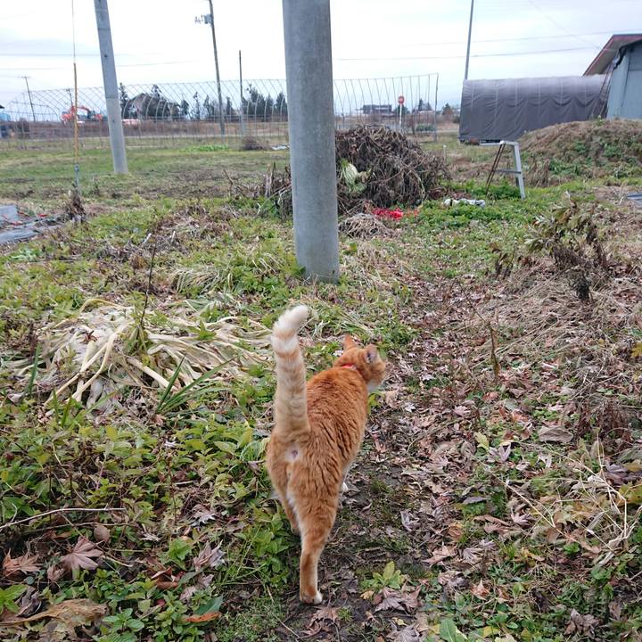 711e125f 279c 4ce8 9020 6fc20d186be0 1576995083154