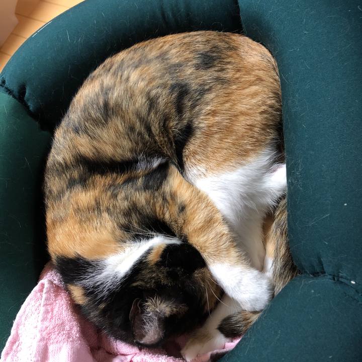 711e4ca8 6347 4f5c 83d3 647950e79f07 1541323117403