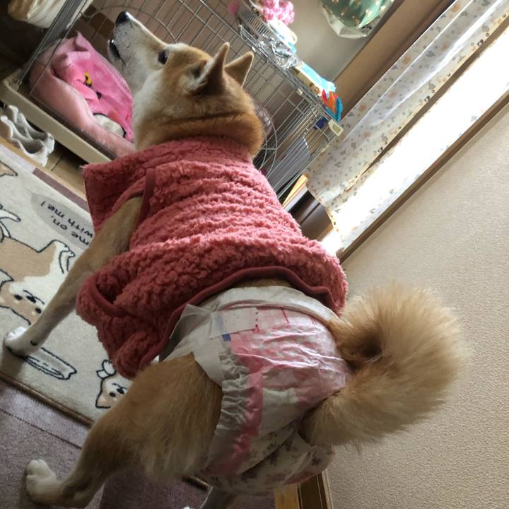 711e4e61 76a6 4290 9c21 0c7ae142cd5a 1578266340325