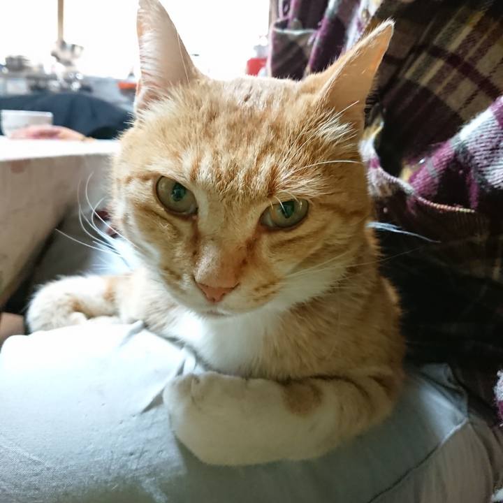 711e5b04 0d4b 4529 8302 a0d73eae5f0c 1589229271665