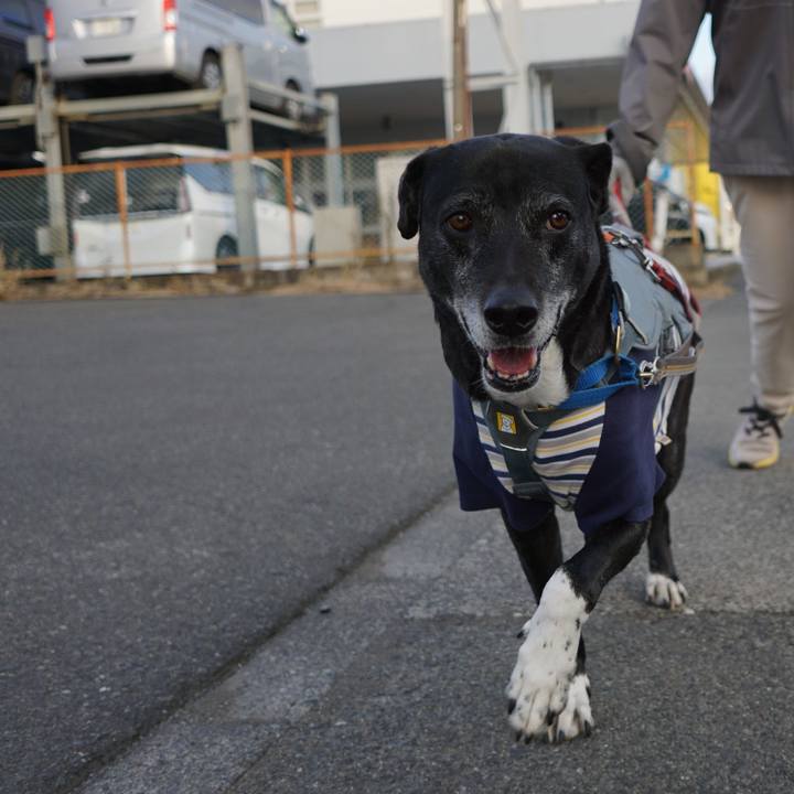 711e661c 7447 4a98 9424 9314b9ff3d80 1768610626893