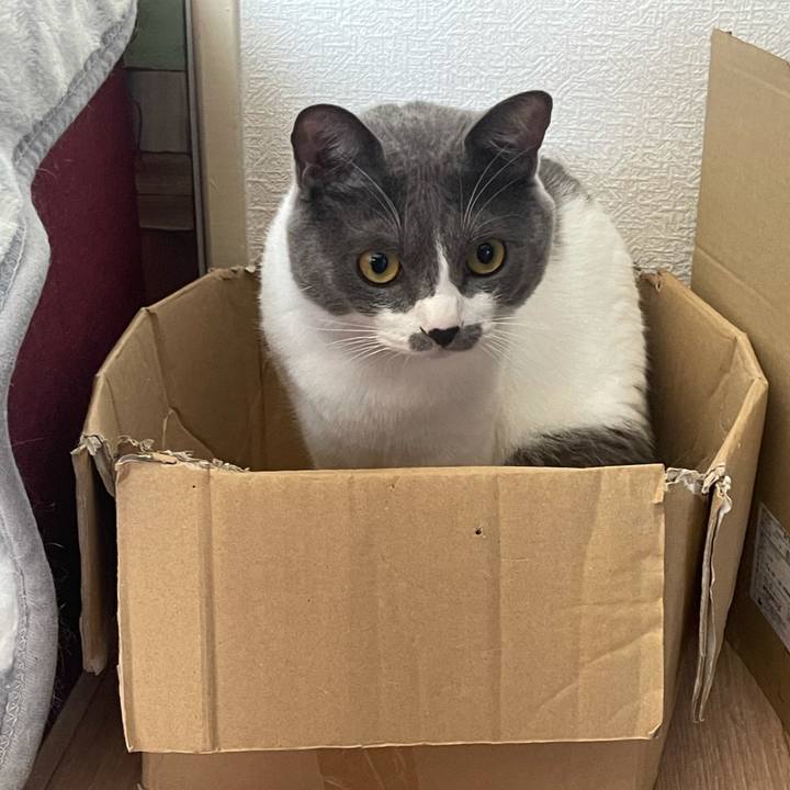 711e93cc d755 44eb 89b6 cf9e4841f315 1630288058984