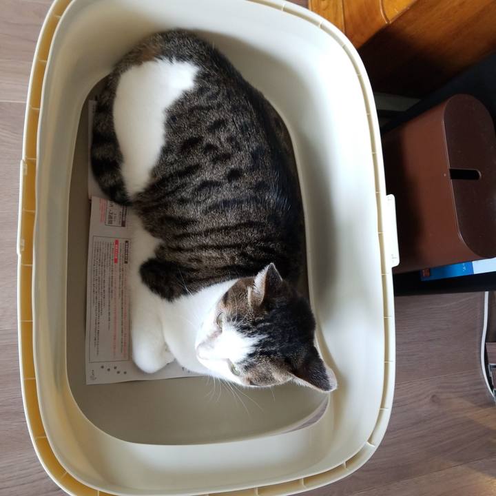 711eb597 4011 4c7d bc59 ba3ec6841aa3 1569738073161