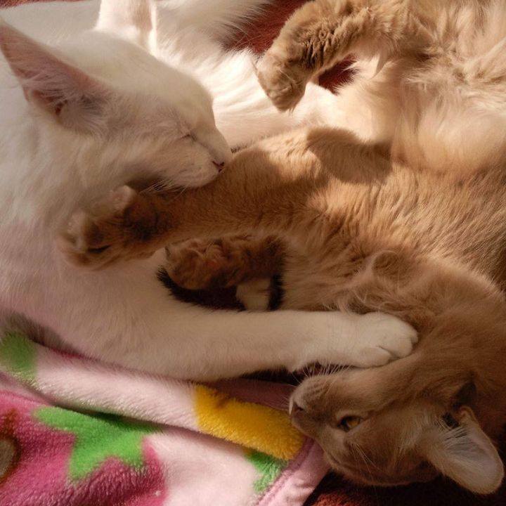 711eb8ea e96f 4b3b 832c 34b81f3ab4a5 1677527277667