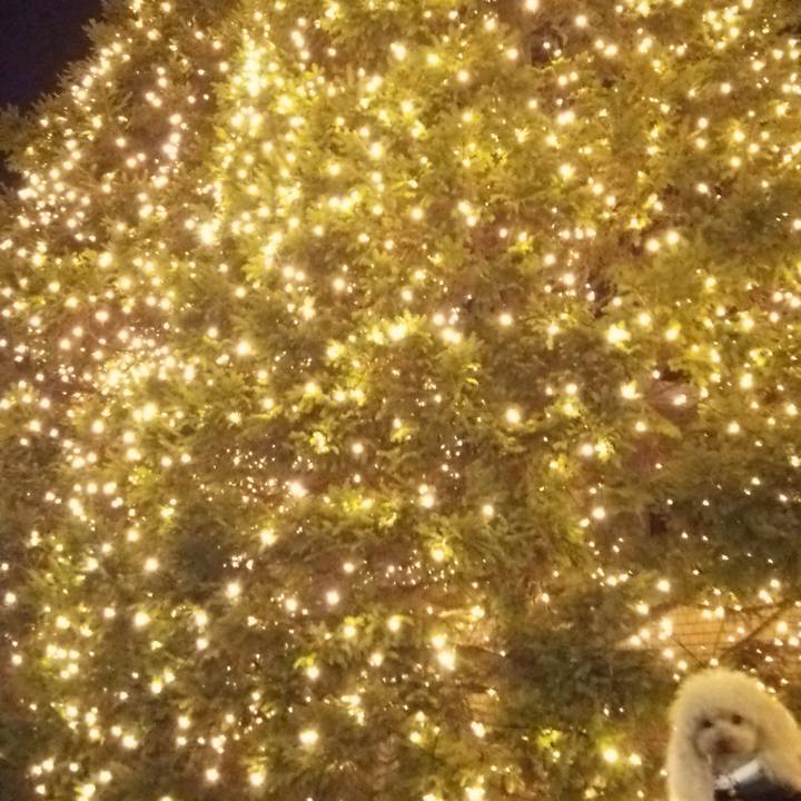 711ece2e 701f 417f 829a c058374e3aa6 1542617839934