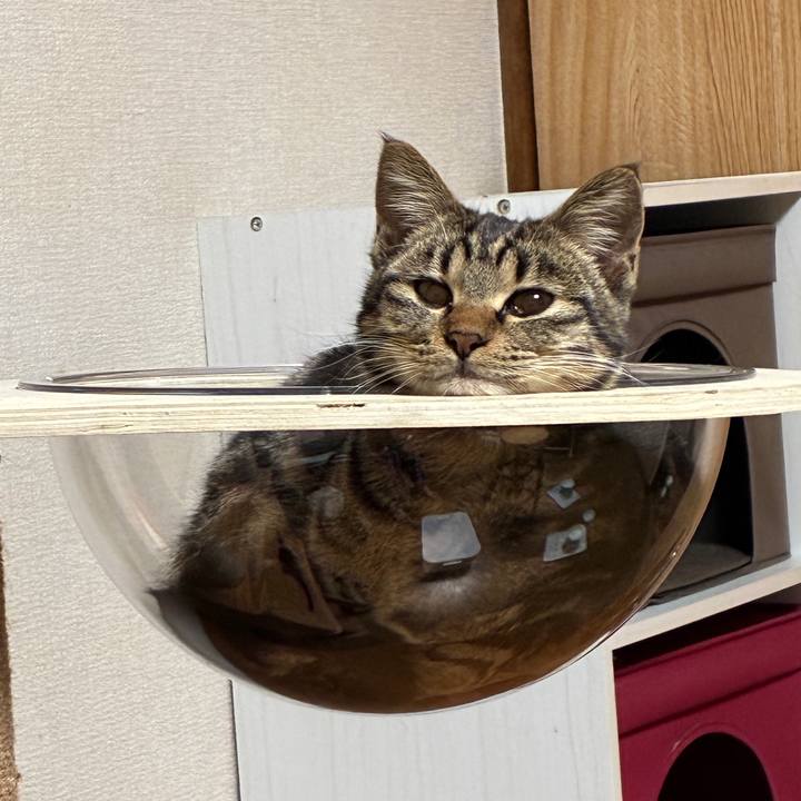 711ee216 84f8 4684 8c57 5594e39a95e3 1744722179286