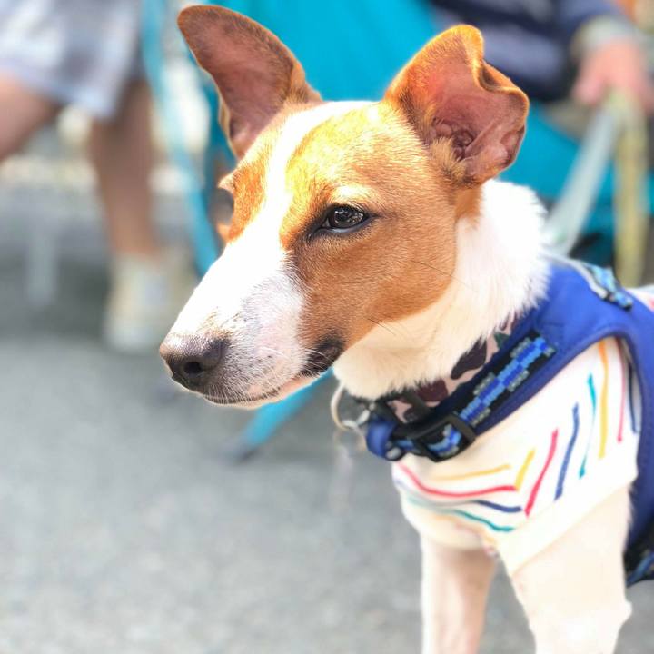 711f27f5 27b3 455a 99db 3cea32785537 1527478936180