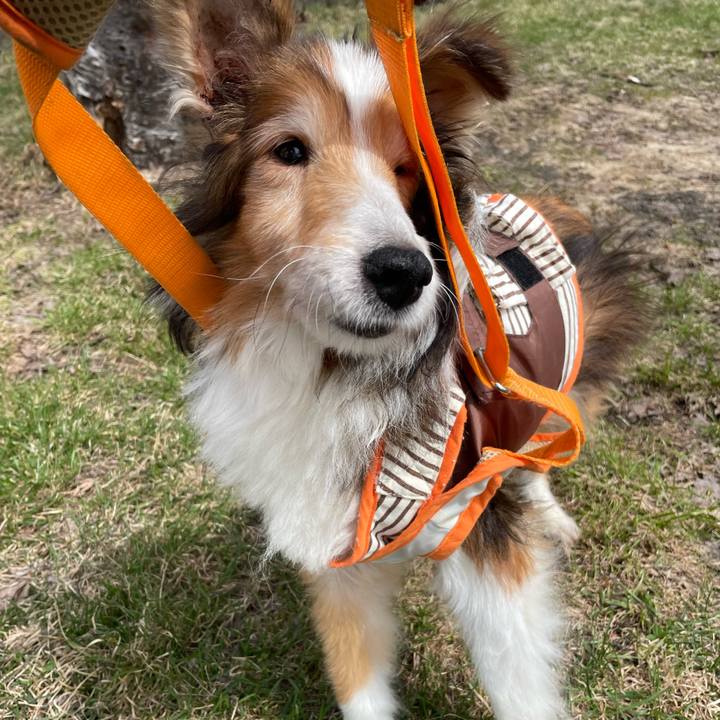 711f3091 d130 47ac 9ac3 e8debdae401e 1653901355545