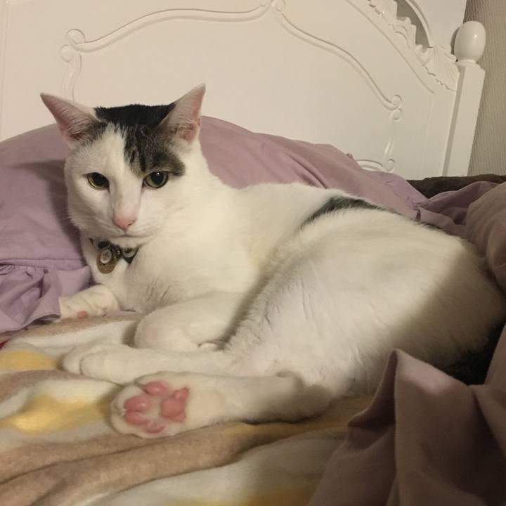 711f5871 6359 4a0e af4d b6515a1cd30d 1510838491747