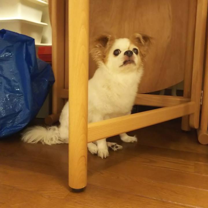 711f63cf cac8 4163 9109 528b35d719d6 1593700657360